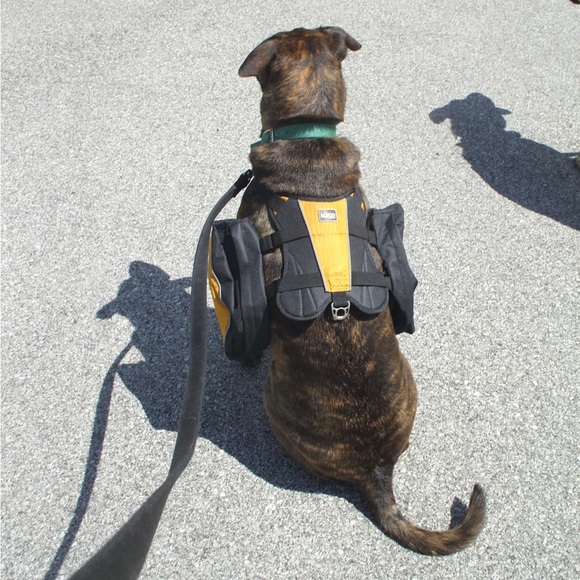 New-Kurgo Wander Pack Harness. Adjustable from 30-85 lbs - Picture 3 of 4